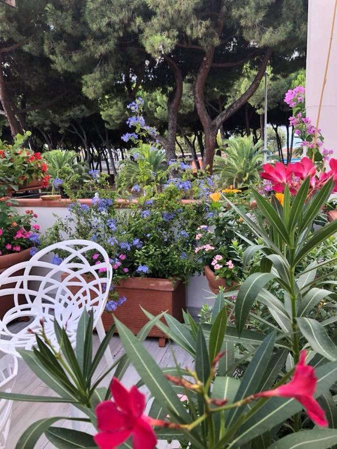 Brezza Marina Bed and Breakfast Marina Di Carrara Exteriör bild
