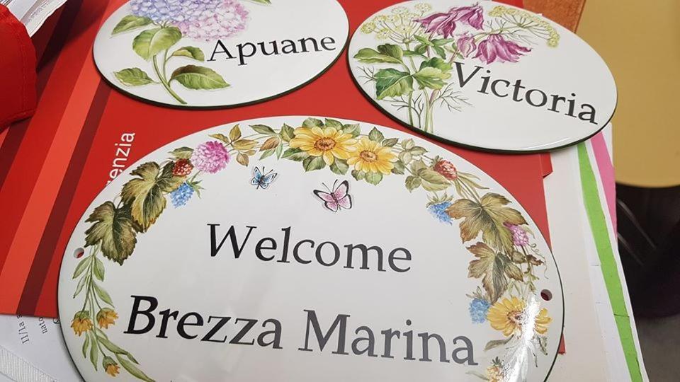Brezza Marina Bed and Breakfast Marina Di Carrara Exteriör bild